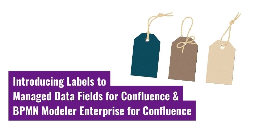 Introducing Labes to Managed Data Fields for Confluence BPMN Modeler Enterprise for Confluence