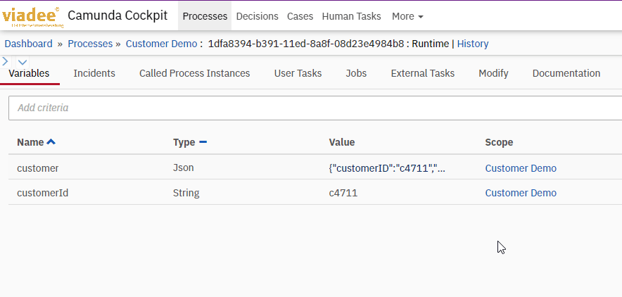 camunda_process-context_customer_json