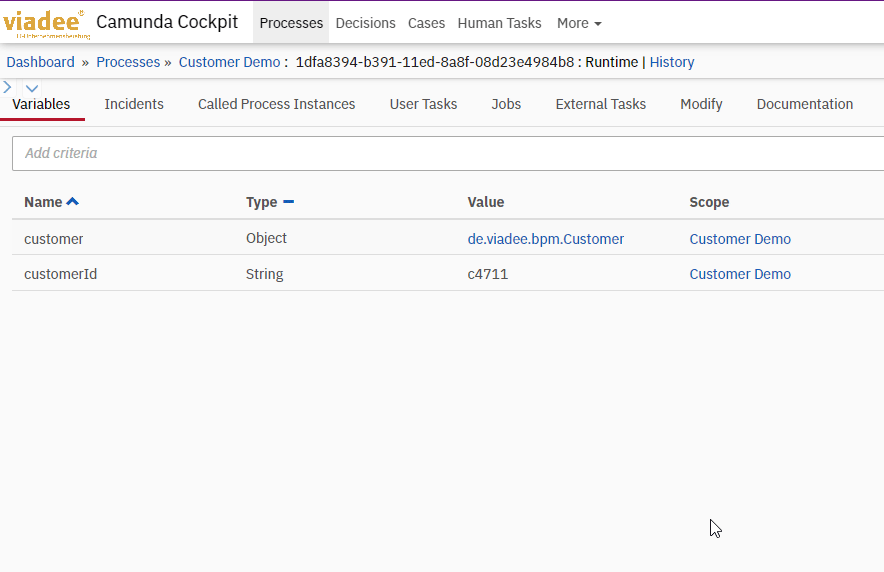 camunda_process-context_customer_object