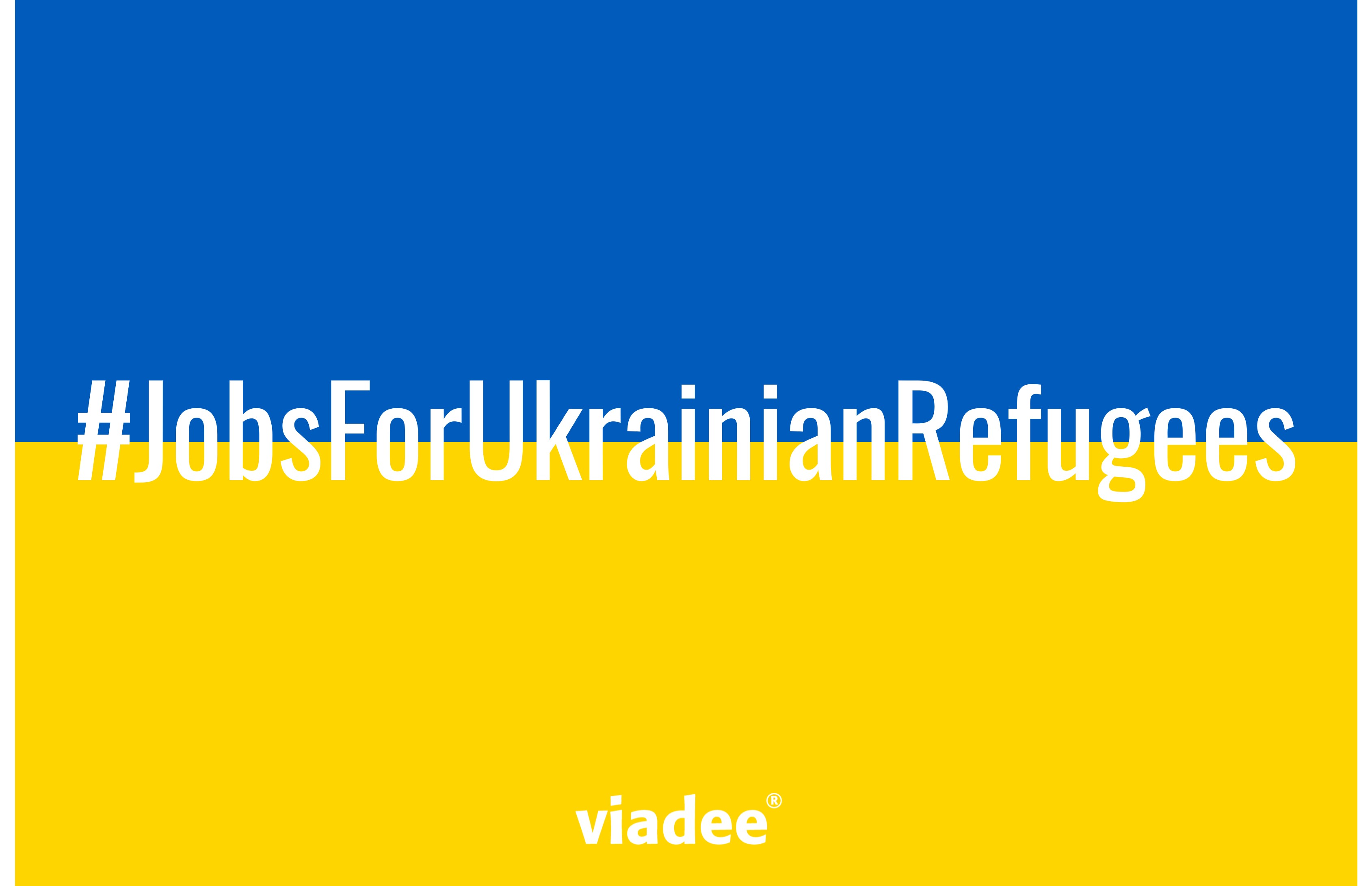 Jobs für ukrainische Flüchtlinge bei der viadee Unternehmensberatung AG